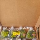 충주성심맹아원 이미지