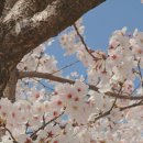 덕풍천동로 이미지