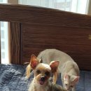 어울림한약국 이미지