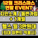 피티스미스 이미지