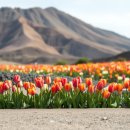 풍경화꽃식물원 이미지