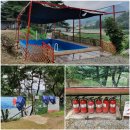 내린천솔밭민박 | [강원도 인제 내린천 캠핑장] 내린천에서 래프팅 후, 숙박지인 내린천 솔밭 힐링 캠핑장(강원도 여행 2)