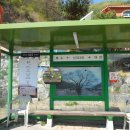 신대3리마을회관 이미지