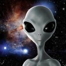 상림돼지국밥 | 블로그에 글은 없고 뻘소리만 가득