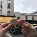 (유)붕붕렌트카 | 파리 겨울여행 후기 :: 1월 날씨, 3박 4일 여행 코스, 경비