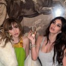 데이지 하우스 이미지