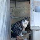 풍산스테이 | [안동 감성 독채 숙소] 안동하회마을 근처 아늑한 단독주택 '풍산스테이' 침대4개 조식 주차