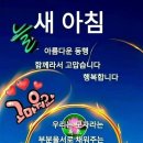 신나는 날 이미지