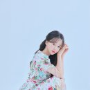 보떼로즈