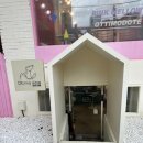 오띠모도떼 이미지