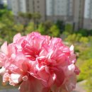 셋,별 이미지