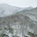 대감농원