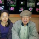 꽃, 이어라 이미지