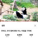 에버랜드 판다월드 주말 오픈런 후기 (+로스트밸리, 사파리)