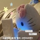 [자격증 추천] 이번 여름 방학 뭐 할지 고민이야? 대학생 필수 자격증 소개시켜줄게👍
