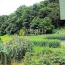 동남농장2 이미지