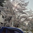 주공분식 이미지