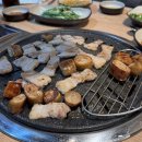 이지비야 이미지