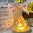 수채일러스트 지도사 2급 과정 | 신도림 부케말리기 '본아리'｜화이트 수국 웨딩부케, 하바리움 액자 &amp; 무드등 제작 후기