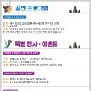 진주시어린이교통공원 청소년모험공원 | Y자 출렁다리 런닝맨 촬영지 3분 총정리