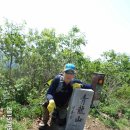 대구대곡초등학교 이미지