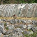 천석농장 이미지