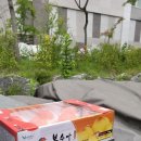 가곡로(동) 이미지