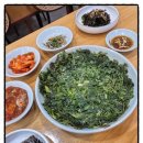 강남횟집 - 창원시 성산구 단정로58번길 5-1 | 강남횟집