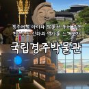 경주여행 아이와 박물관 투어 추천 국립경주박물관 무료관람 무료주차정보