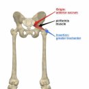 이(E)-메디칼 이미지