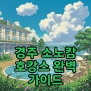 TM할인마트 | 소노캄 경주 풀앤스파와 리모델링 객실, 특별한 호캉스 경험