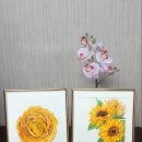 수채 일러스트 이미지