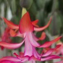 연세화랑의원 이미지