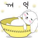 밸런스독 애견펜션 이미지