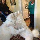 되고개농장 이미지