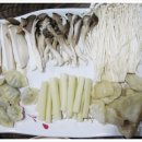 가중나무어린이공원 이미지