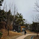 대부해솔길 6-2코스(순환코스) 이미지