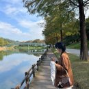 중앙로5길~평동로7길 | [11월 일상] 처음 -가을이 와서 좋다