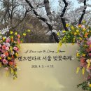 씨유 개화점 | 렛츠런파크 서울 벚꽃 축제 드론쇼 명당 주차 꿀팁 후기