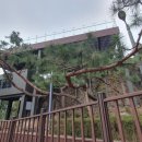 동안육교 하부 이미지