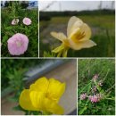 홍주축산 이미지