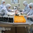 농업법인(주)참 이미지