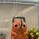 미니원핏 | 손흔밈•포치타•덴지•마키마•마키마사마•코베니•키시베•아키•마크•야끼소바•포켓몬•짱구•후기