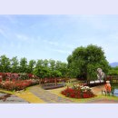 곡성-033 이미지