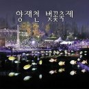 파인 관광농원 이미지