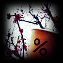 강변장어 이미지