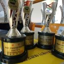 국가대표 호동 태권도장 이미지