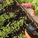 새싹농장 이미지