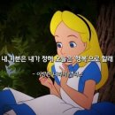 원어민영어공부방