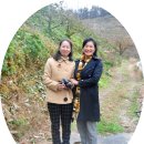 윤돌숲
